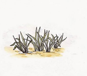 2012_12-quick_sketch4