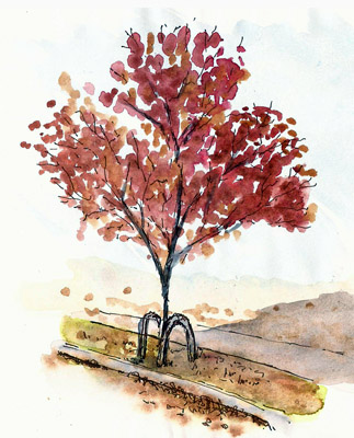 A Token Autumn Tree Sketch | Larry D. Marshall